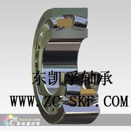 SKF 240/1000CAF/W33 ֻSKF 
